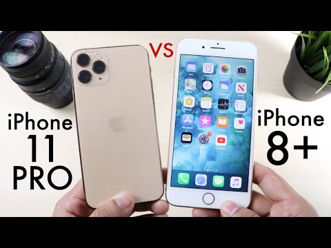 iphone 11 pro vs max